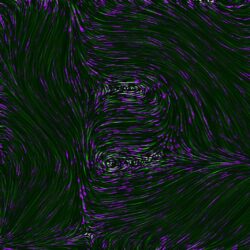 an abstract purple and black background with wavy lines