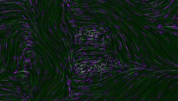 an abstract purple and black background with wavy lines