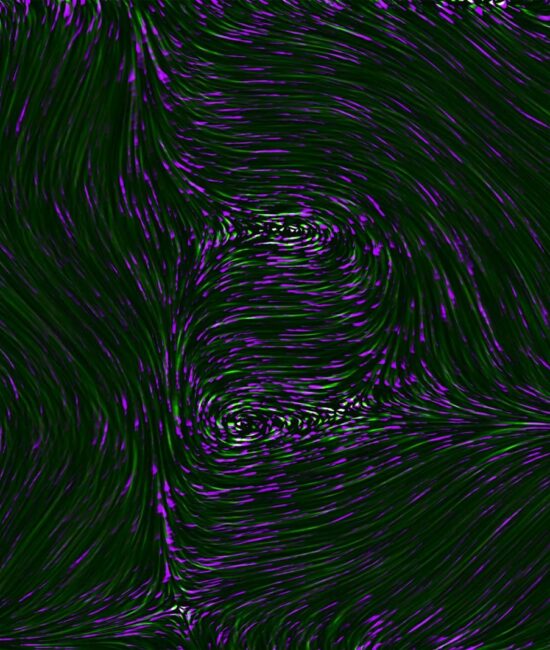 an abstract purple and black background with wavy lines