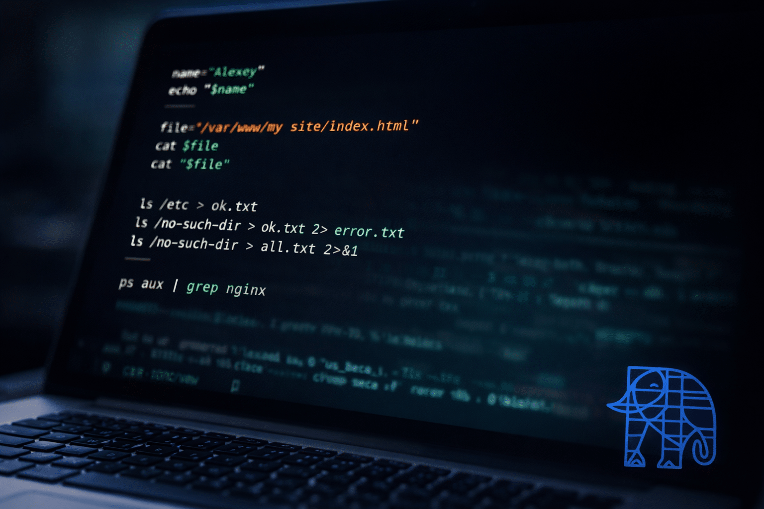 Bash под капотом: как shell понимает команды, переменные и пайпы