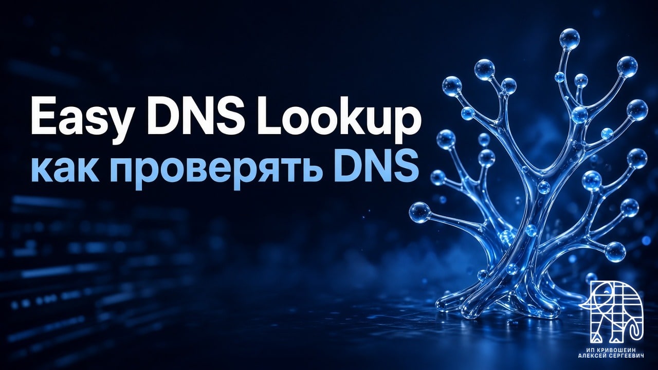 Easy DNS Lookup: зачем нужен и как проверять DNS